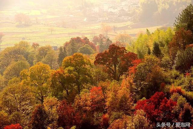 国内秋天最美的自驾游路线，一路风景一路心情！